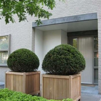 Adezz Forno Planters Adezz Valencia Hardwood Planter